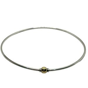 Cape Cod Gold and Silver Minimalist Choker Necklace